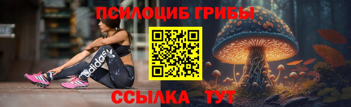 Галлюциногенные грибы ЛСД  Вход с VPN  Галлюциногенные грибы GOLDEN TEACHER  Россошь 